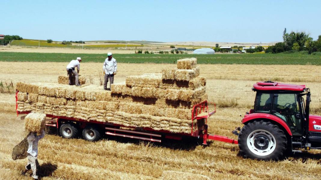 Kavurucu sıcakta 'balya' mesaisi 6